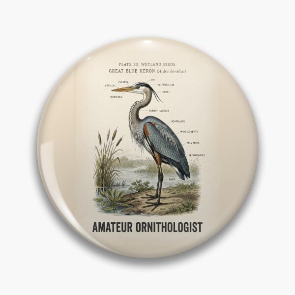 Item preview, Amateur Ornithologist Great Blue Heron Scientific Illustration designed and sold by SplashTastic.