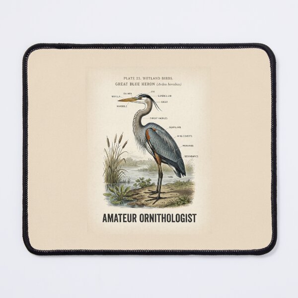Item preview, Amateur Ornithologist Great Blue Heron Scientific Illustration designed and sold by SplashTastic.