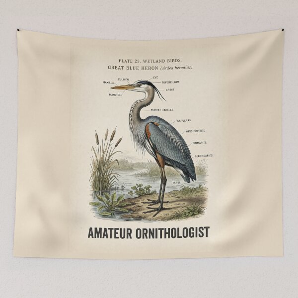 Item preview, Amateur Ornithologist Great Blue Heron Scientific Illustration designed and sold by SplashTastic.