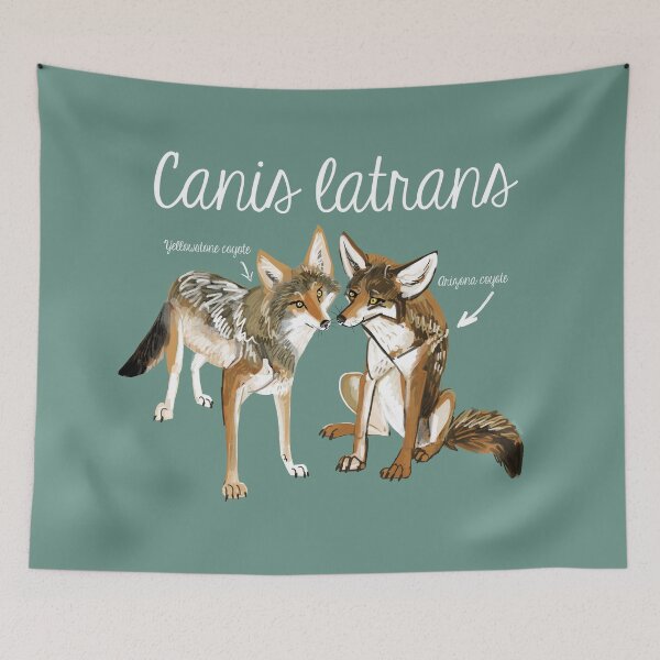 Item preview, Coyotes in love designed and sold by belettelepink.