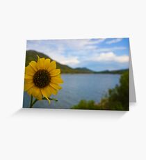 A sunflower that cant see the view Greeting Card
