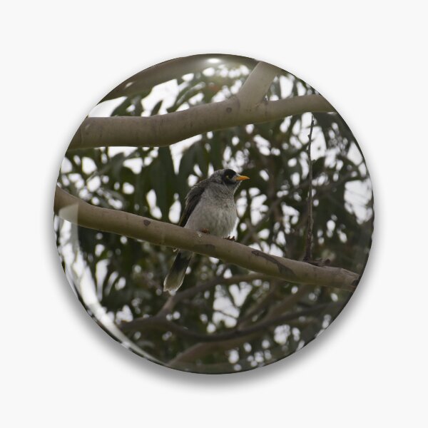 Item preview, Bird Perched on Tree Branch designed and sold by getmybookstore.