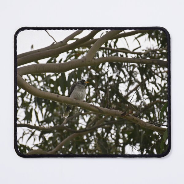 Item preview, Bird Perched on Tree Branch designed and sold by getmybookstore.