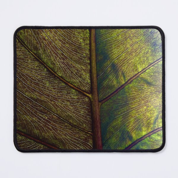 Item preview, Elephant Ear Leaf designed and sold by hustonwehaveproblemo.