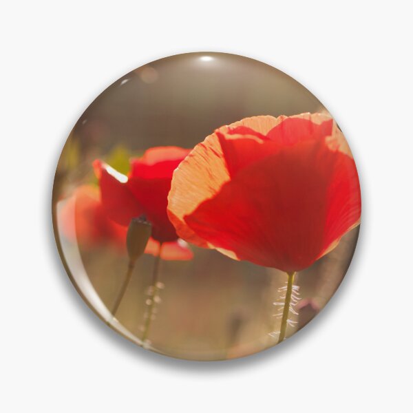 Item preview, Poppies at sunset designed and sold by likiska.