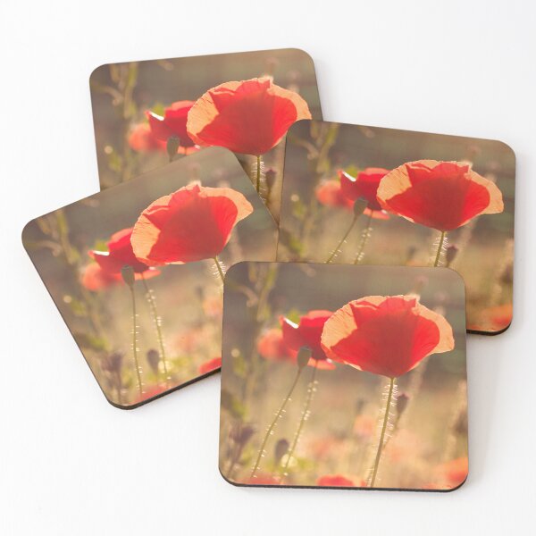 Item preview, Poppies at sunset designed and sold by likiska.