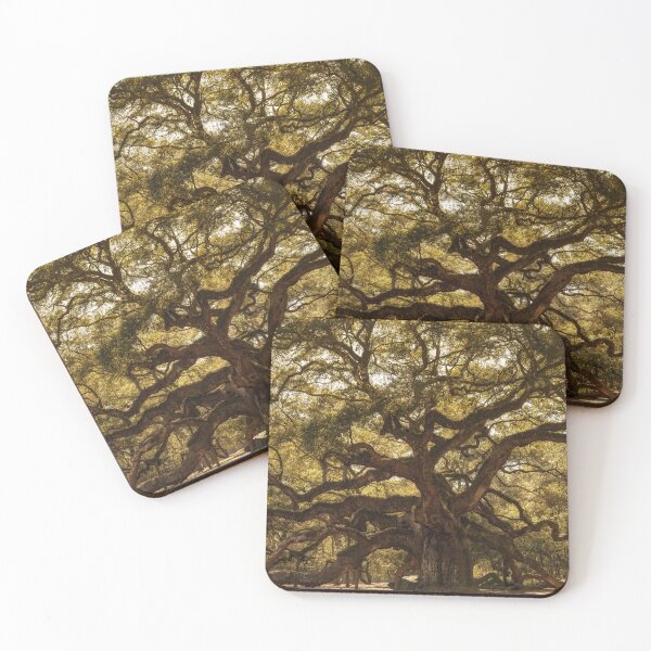 Item preview, Angel Oak designed and sold by DiFigianoPhoto.