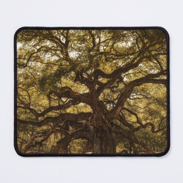 Item preview, Angel Oak designed and sold by DiFigianoPhoto.
