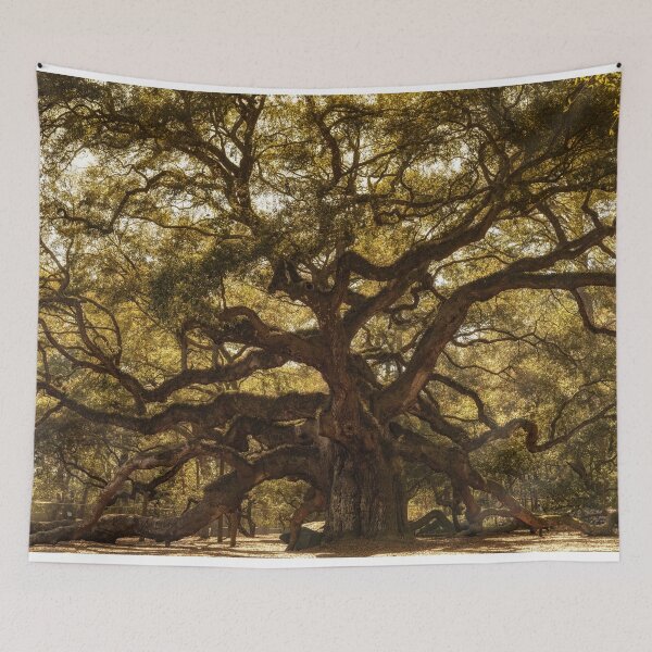 Item preview, Angel Oak designed and sold by DiFigianoPhoto.