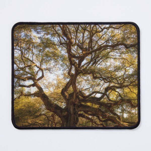Item preview, Angel Oak II designed and sold by DiFigianoPhoto.