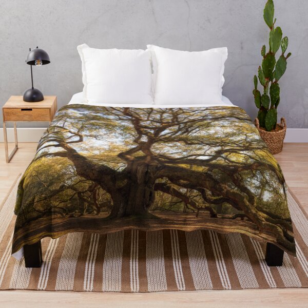 Item preview, Angel Oak II designed and sold by DiFigianoPhoto.