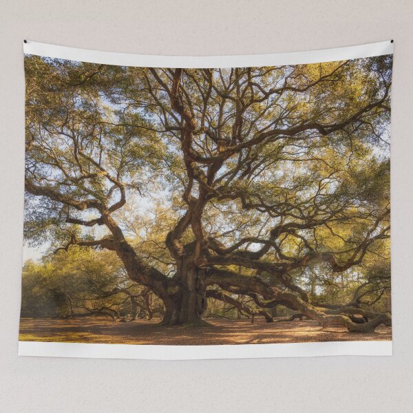 Item preview, Angel Oak II designed and sold by DiFigianoPhoto.