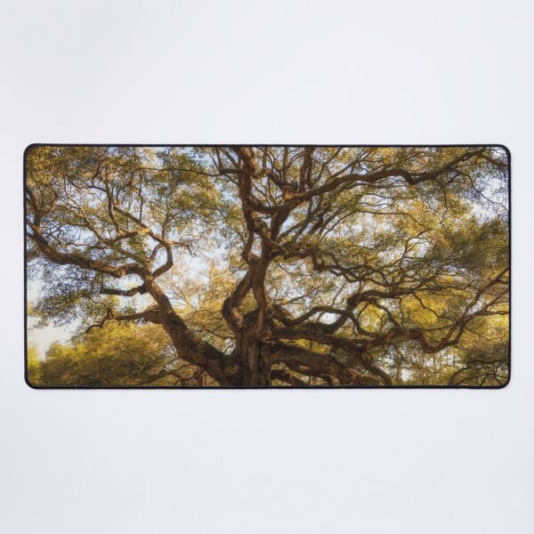 Item preview, Angel Oak II designed and sold by DiFigianoPhoto.