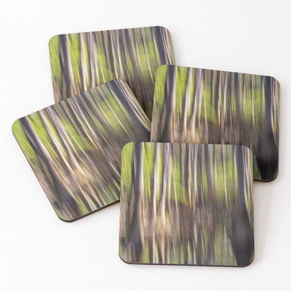 Item preview, Congaree Panned designed and sold by DiFigianoPhoto.