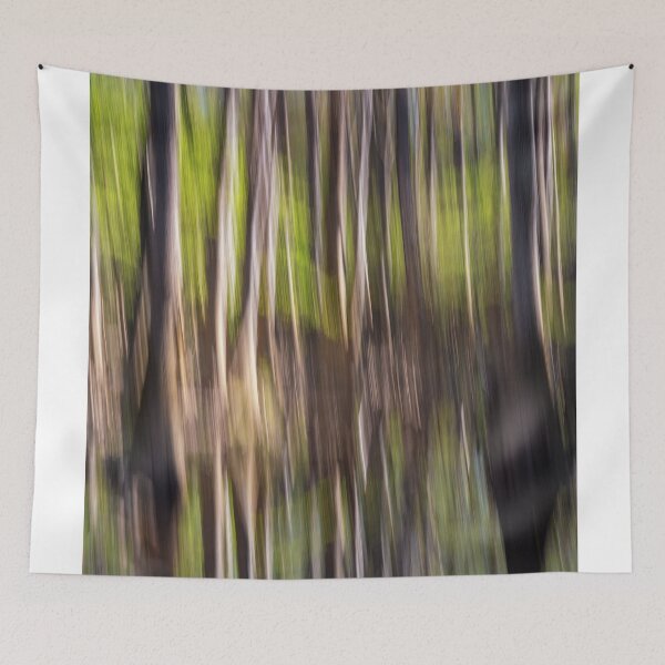 Item preview, Congaree Panned designed and sold by DiFigianoPhoto.
