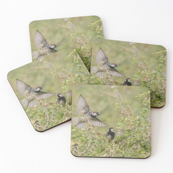 Item preview, Spanish Sparrow designed and sold by LaurenTucker.