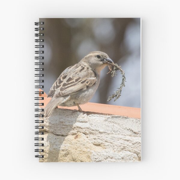 Item preview, House Sparrow designed and sold by LaurenTucker.