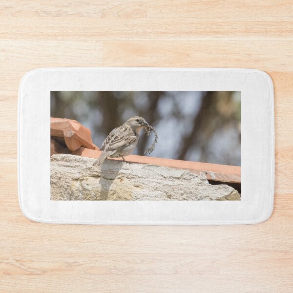 Item preview, House Sparrow designed and sold by LaurenTucker.