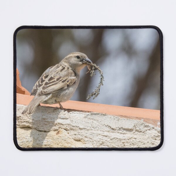 Item preview, House Sparrow designed and sold by LaurenTucker.