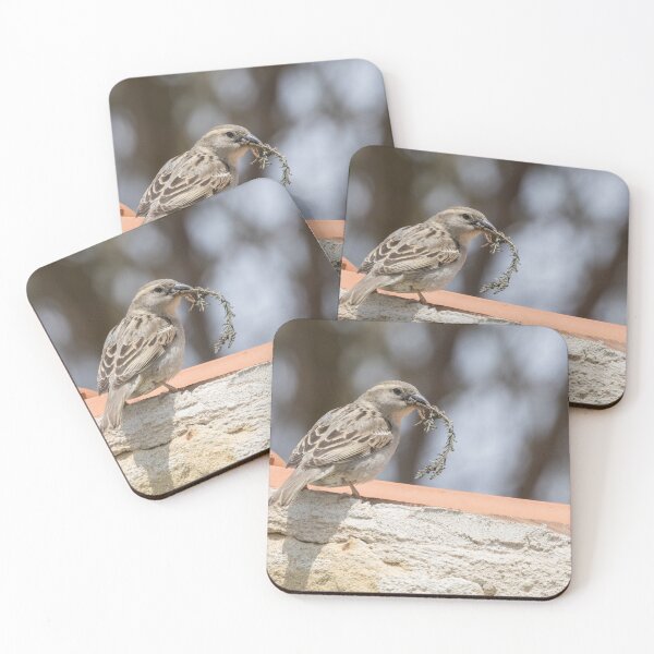 Item preview, House Sparrow designed and sold by LaurenTucker.