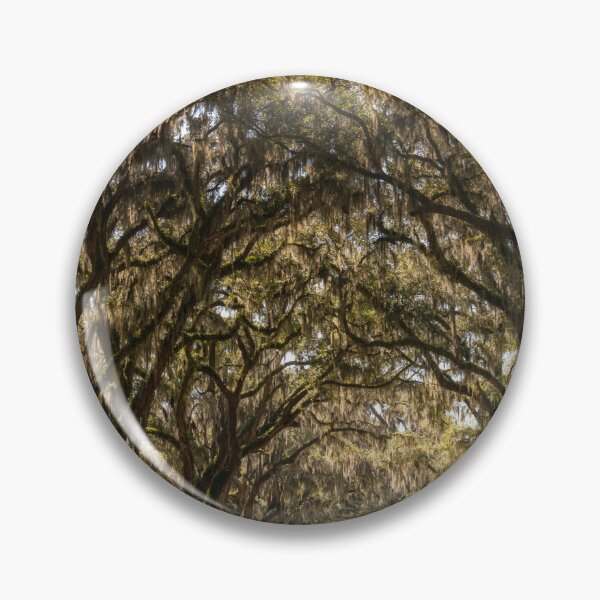 Item preview, Wormsloe Oak Alley IV designed and sold by DiFigianoPhoto.