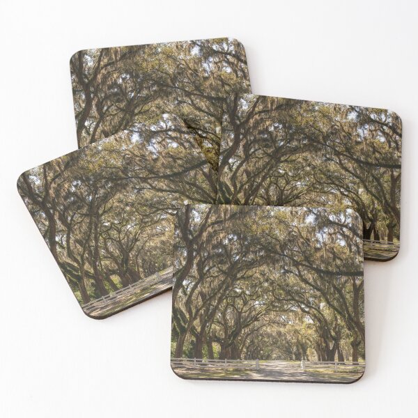 Item preview, Wormsloe Oak Alley IV designed and sold by DiFigianoPhoto.
