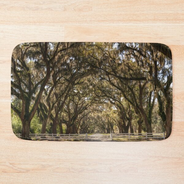 Item preview, Wormsloe Oak Alley IV designed and sold by DiFigianoPhoto.