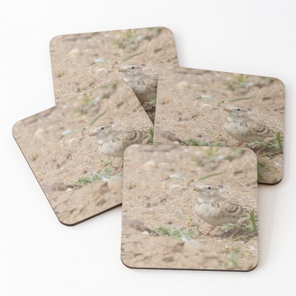 Item preview, Greater Short Toed Lark designed and sold by LaurenTucker.