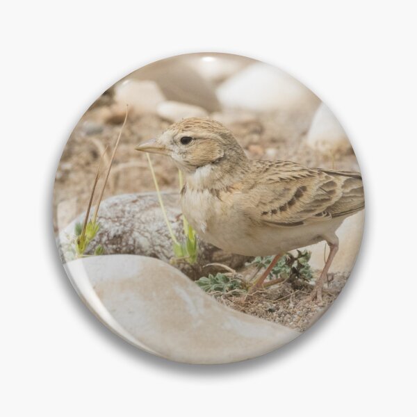 Item preview, Greater Short Toed Lark designed and sold by LaurenTucker.