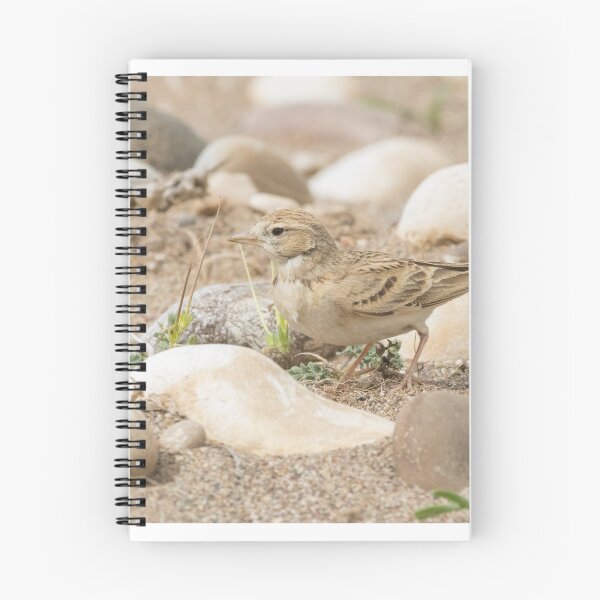 Item preview, Greater Short Toed Lark designed and sold by LaurenTucker.