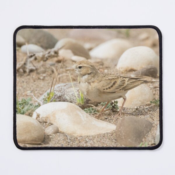 Item preview, Greater Short Toed Lark designed and sold by LaurenTucker.
