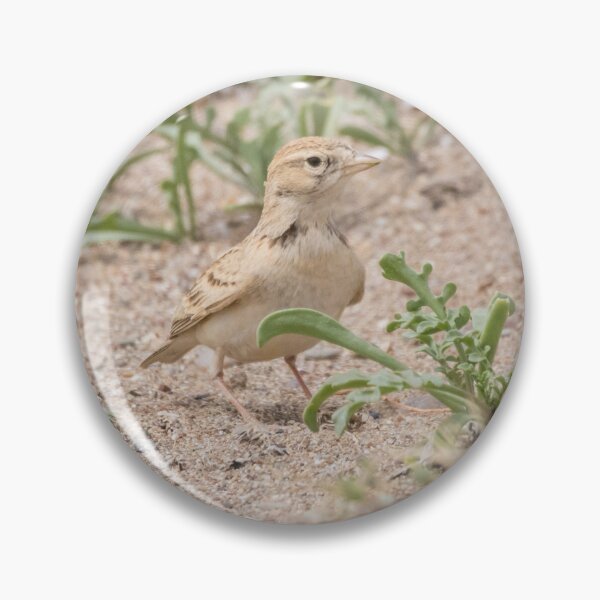 Item preview, Greater Short Toed Lark designed and sold by LaurenTucker.