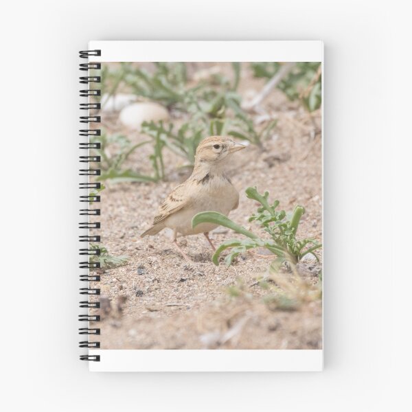 Item preview, Greater Short Toed Lark designed and sold by LaurenTucker.
