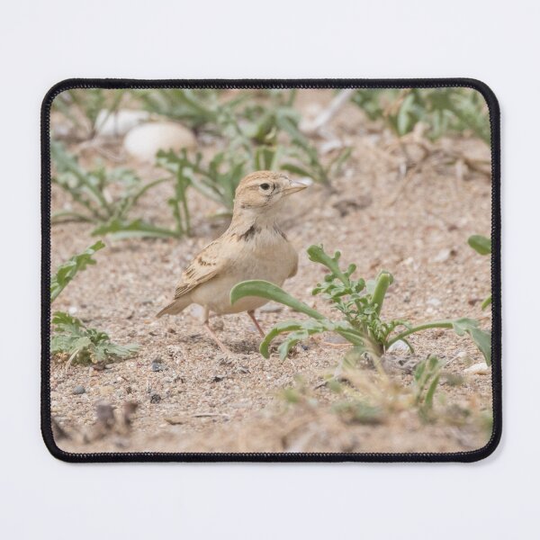 Item preview, Greater Short Toed Lark designed and sold by LaurenTucker.
