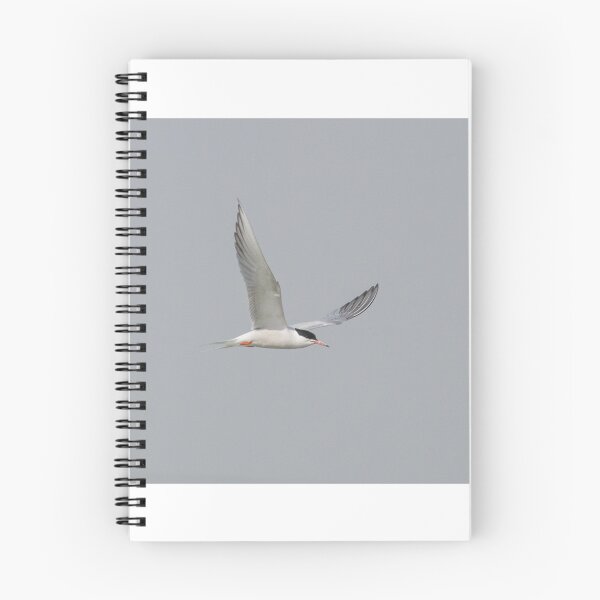 Item preview, Common Tern designed and sold by LaurenTucker.