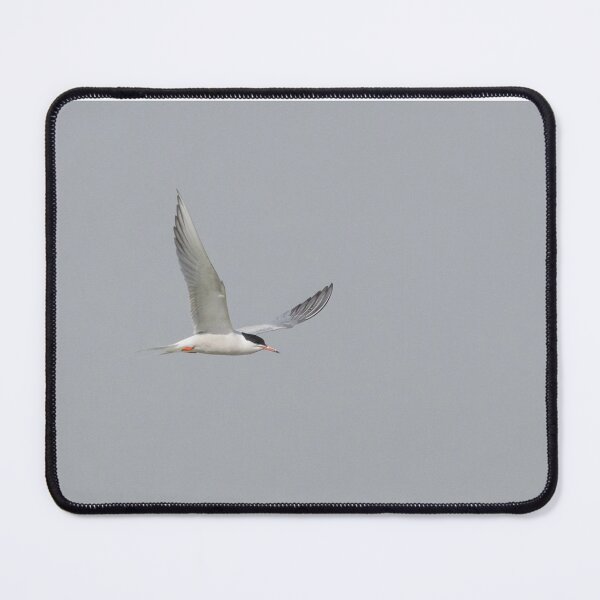 Item preview, Common Tern designed and sold by LaurenTucker.