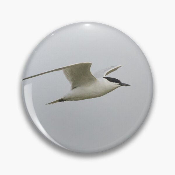 Item preview, Gull Billed Tern designed and sold by LaurenTucker.