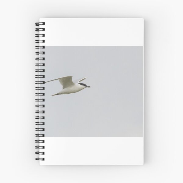 Item preview, Gull Billed Tern designed and sold by LaurenTucker.