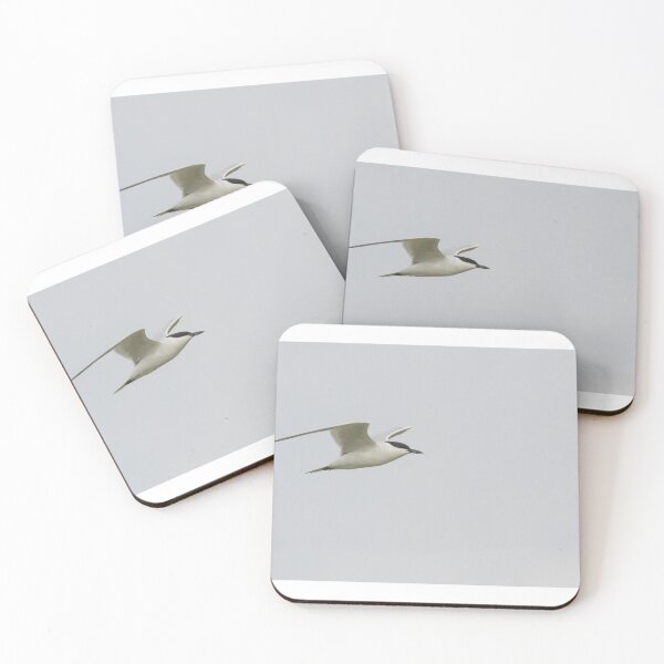 Item preview, Gull Billed Tern designed and sold by LaurenTucker.