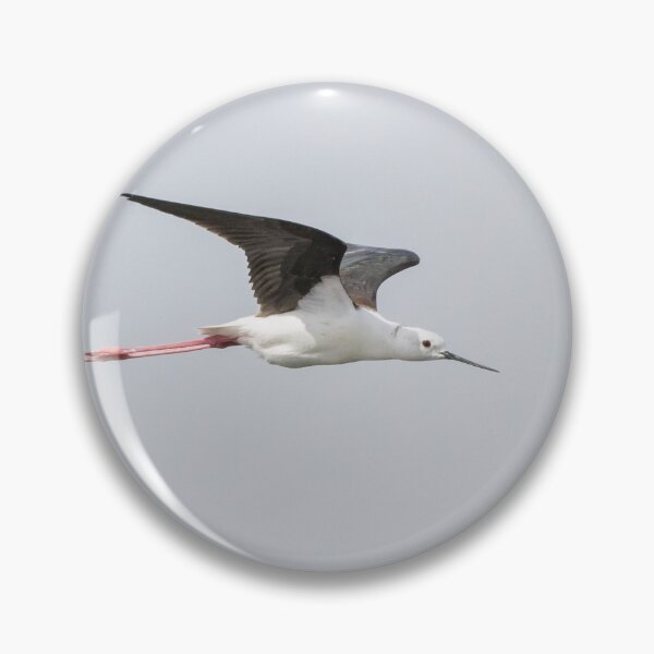 Item preview, Black Winged Stilt designed and sold by LaurenTucker.