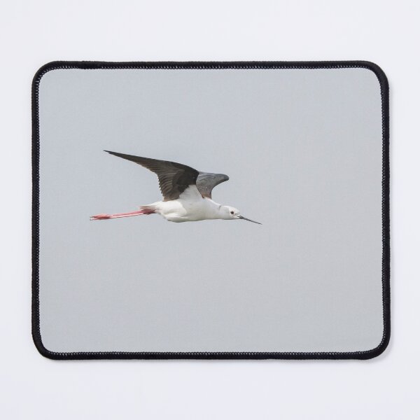 Item preview, Black Winged Stilt designed and sold by LaurenTucker.