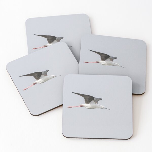 Item preview, Black Winged Stilt designed and sold by LaurenTucker.
