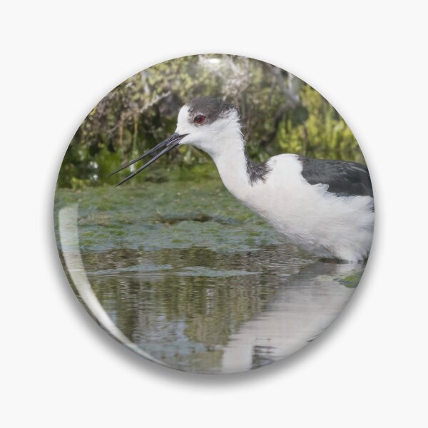 Item preview, Black Winged Stilt designed and sold by LaurenTucker.
