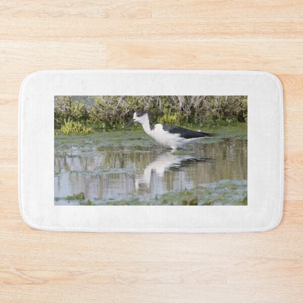Item preview, Black Winged Stilt designed and sold by LaurenTucker.