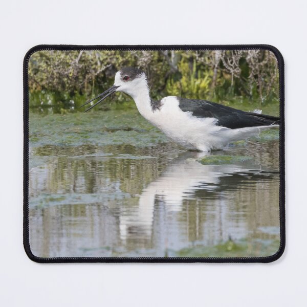 Item preview, Black Winged Stilt designed and sold by LaurenTucker.