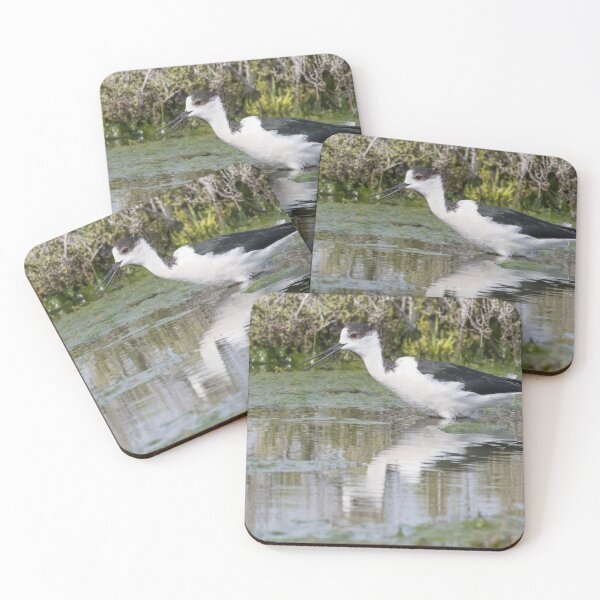 Item preview, Black Winged Stilt designed and sold by LaurenTucker.