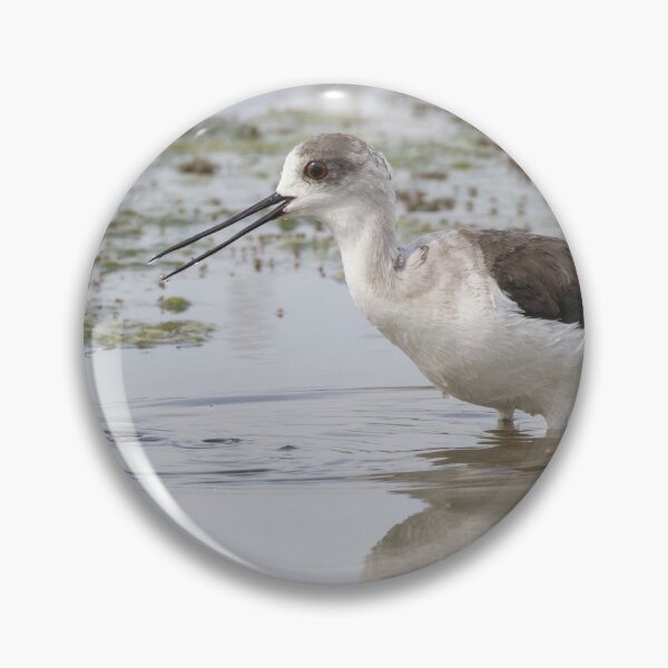 Item preview, Black Winged Stilt designed and sold by LaurenTucker.