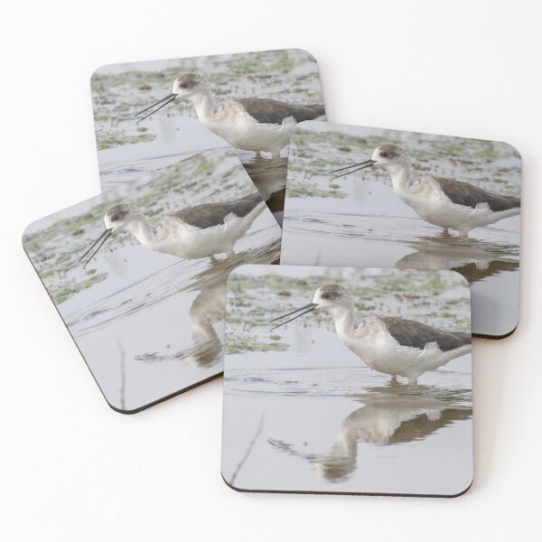 Item preview, Black Winged Stilt designed and sold by LaurenTucker.