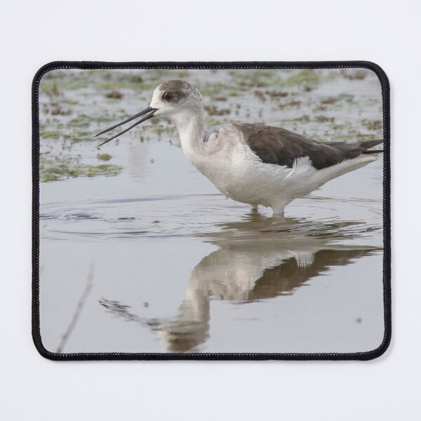 Item preview, Black Winged Stilt designed and sold by LaurenTucker.
