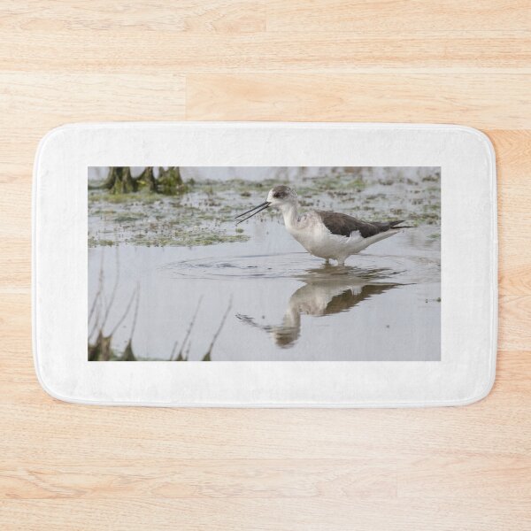 Item preview, Black Winged Stilt designed and sold by LaurenTucker.